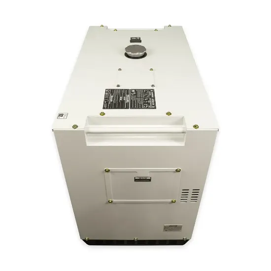 Promax D8600SE 6300W/7.9kVA Diesel Generator